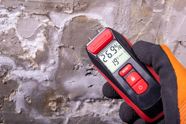 Best Home Mold Removal  in Clarkson Valley, MO