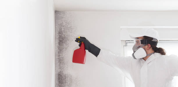 Crawl Space Mold Removal in Clarkson Valley, MO