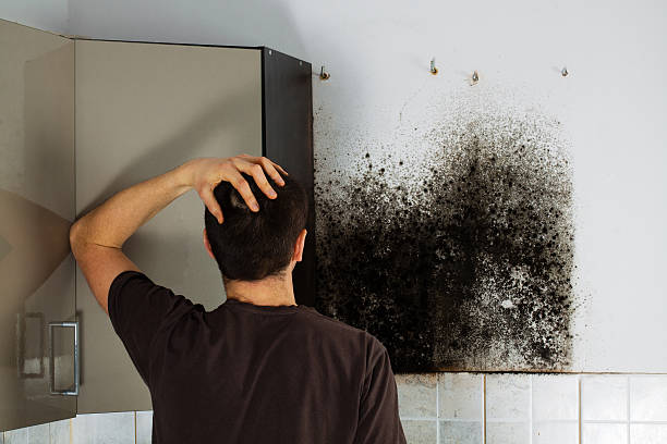 Mold Testing and Removal in Clarkson Valley, MO